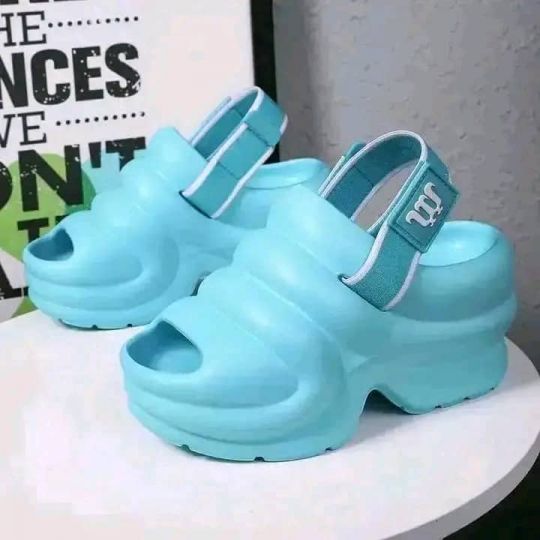 Ladies shoe